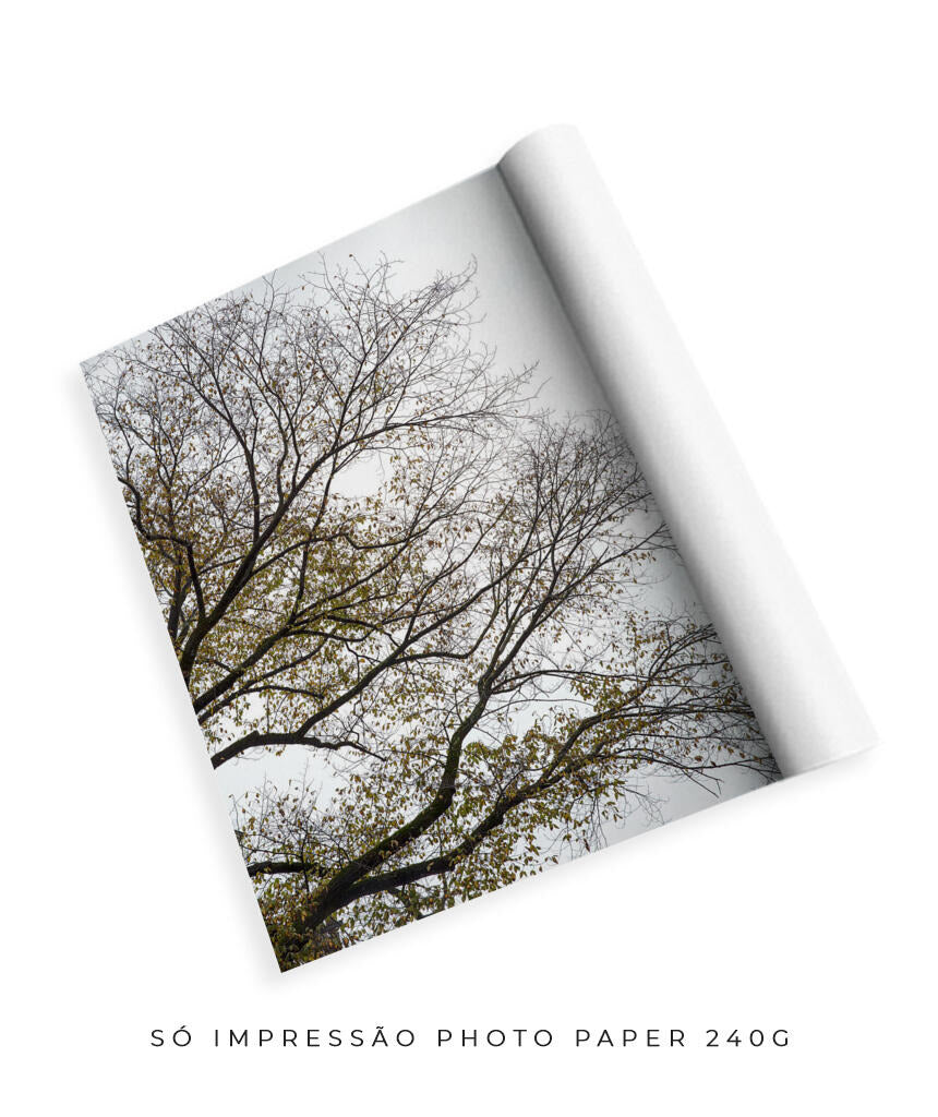 Quadro Decorativo Árvores e Galhos - Folhas secas Vertical