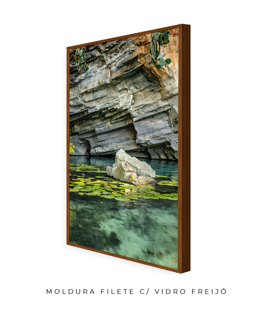 Quadro Decorativo Chapada Diamantina -Vitória Régia- Vertical