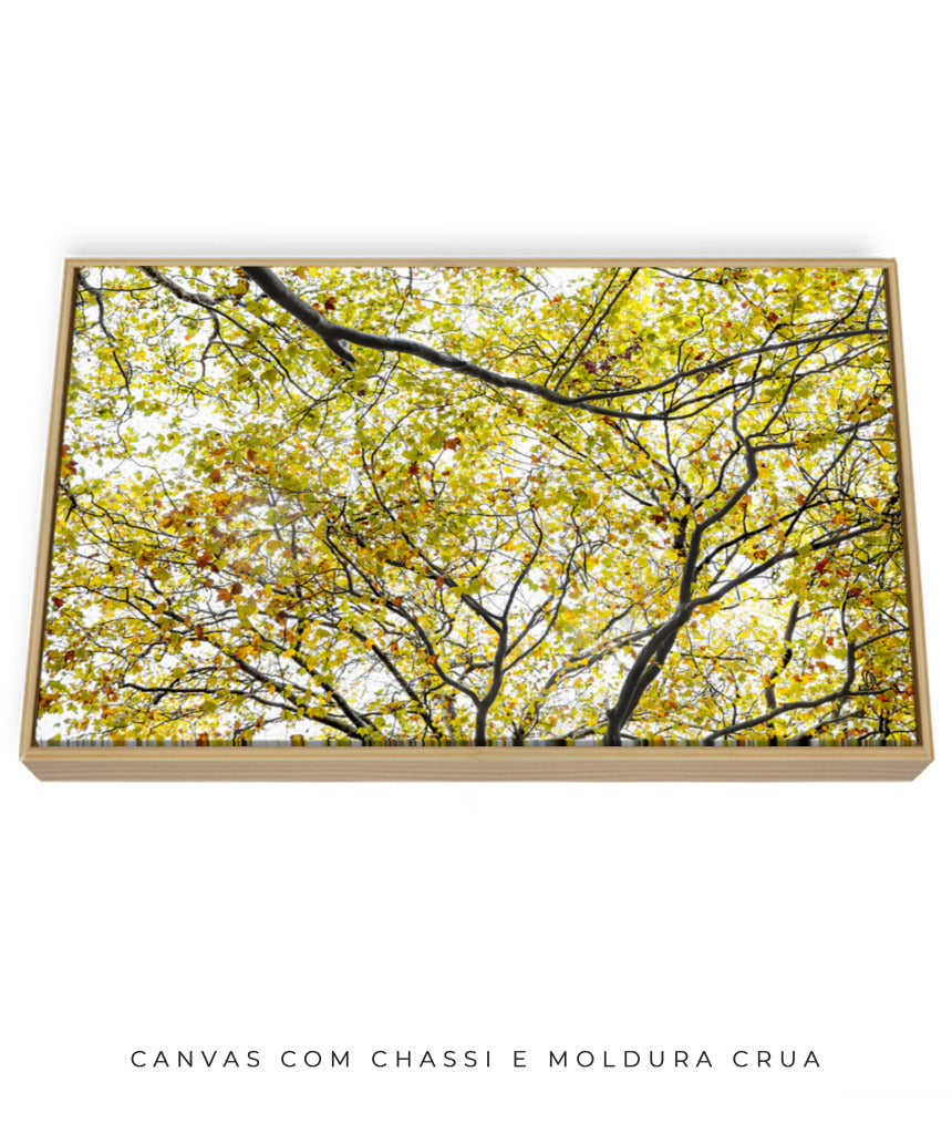 Quadro Decorativo Árvore com Galhos Verdes - Horizontal
