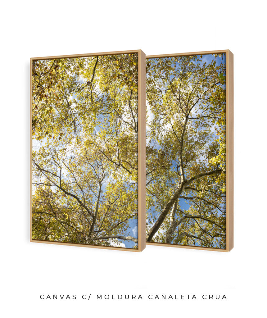 Quadro Decorativo Galhos e Árvores - Dupla