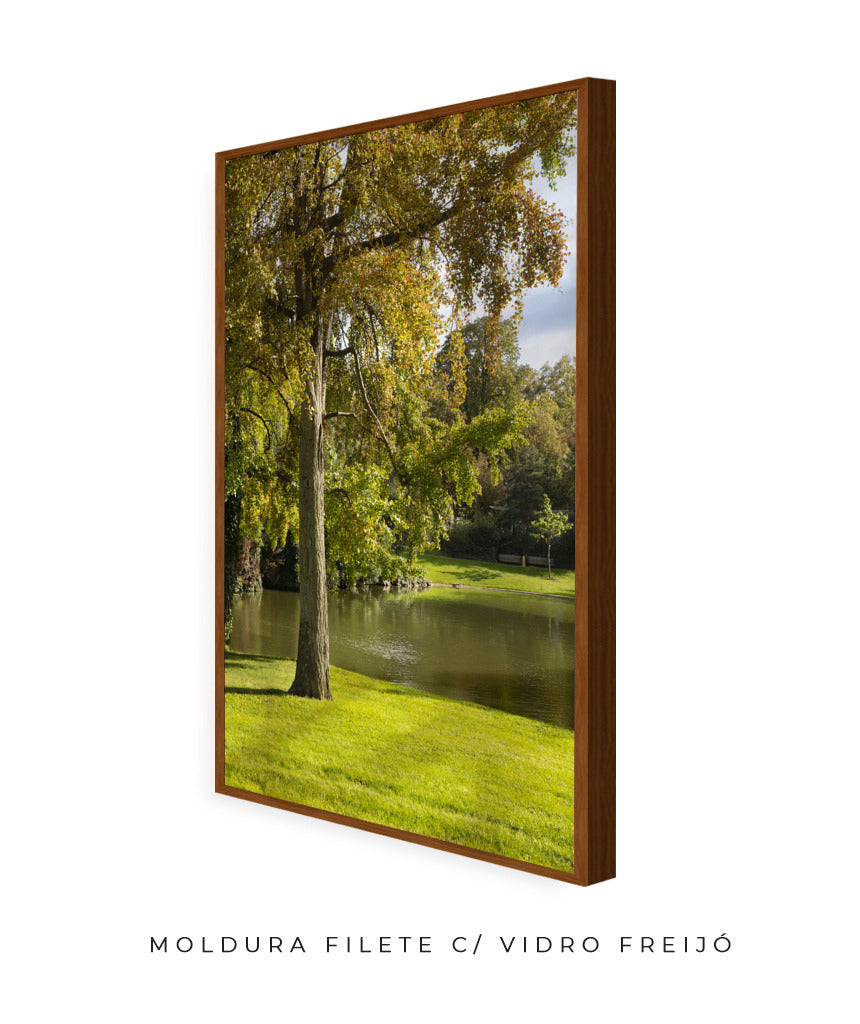 Quadro Decorativo Portais Natureza