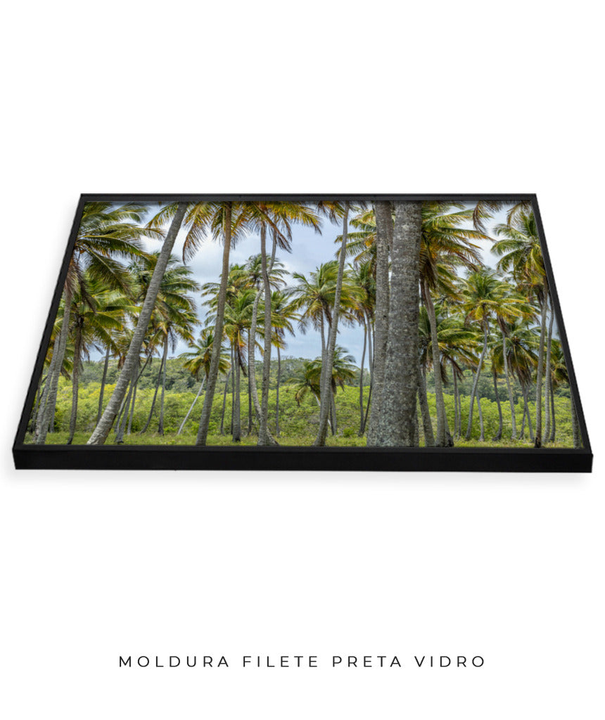 Quadro Decorativo Coqueiros Sépia - Horizontal
