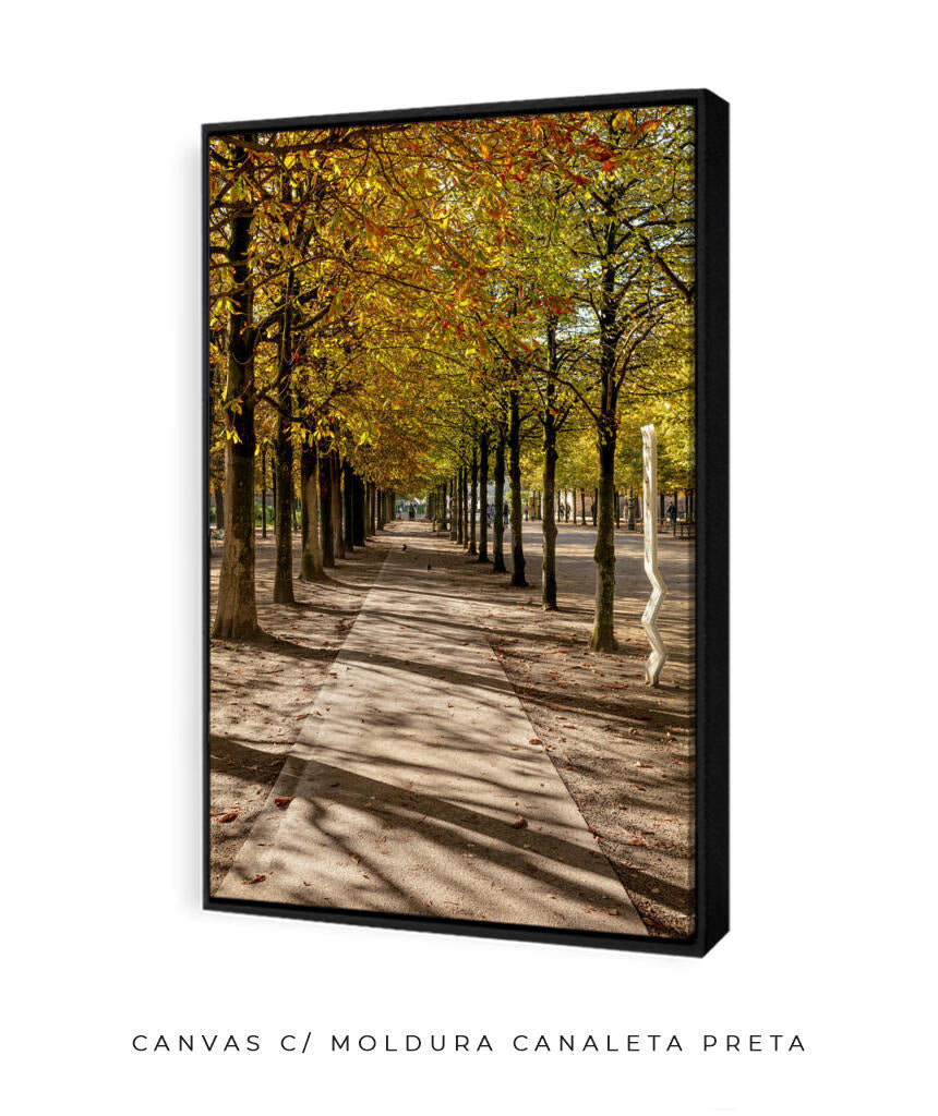Quadro Decorativo Árvores e Galhos - Espaço para caminhada