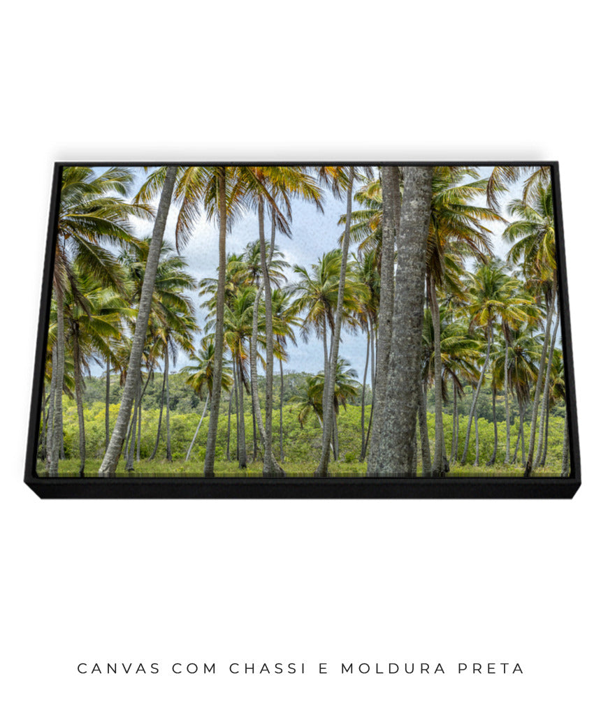 Quadro Decorativo Coqueiros Sépia - Horizontal