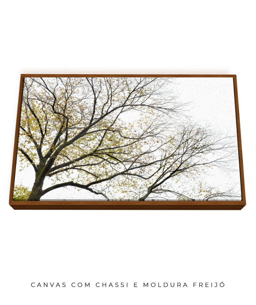 Quadro Decorativo Galhos Secos - Horizontal