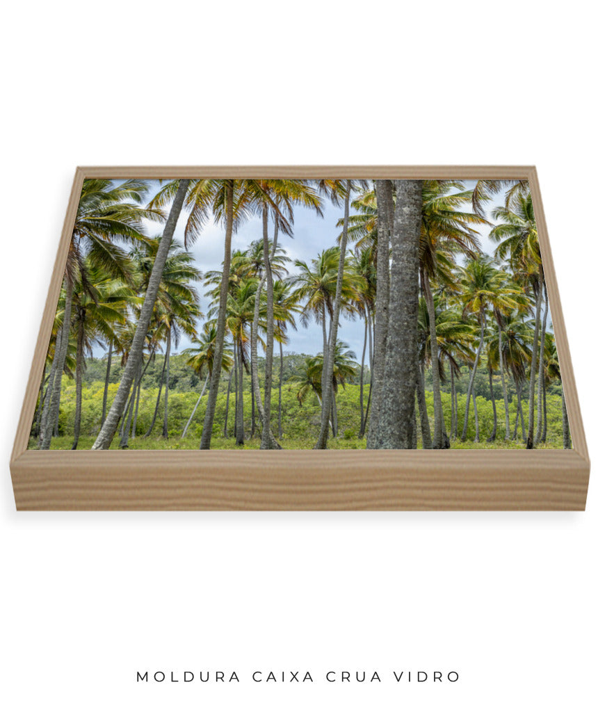 Quadro Decorativo Coqueiros Sépia - Horizontal
