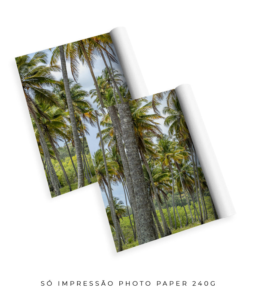 Quadro Decorativo Coqueiros Sépia -Dupla
