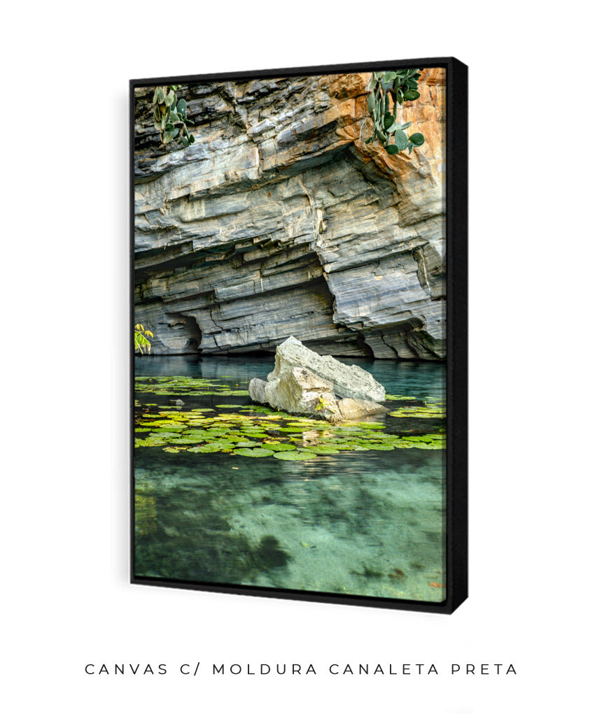 Quadro Decorativo Chapada Diamantina -Vitória Régia- Vertical