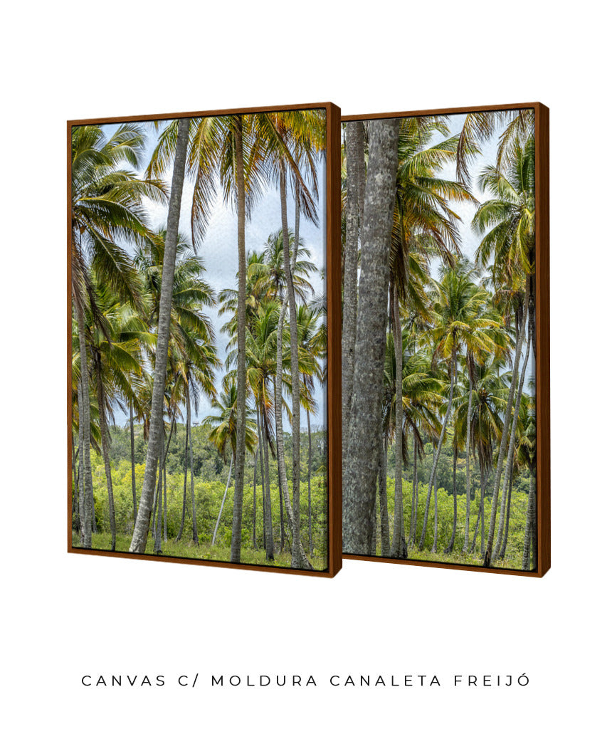 Quadro Decorativo Coqueiros Sépia -Dupla