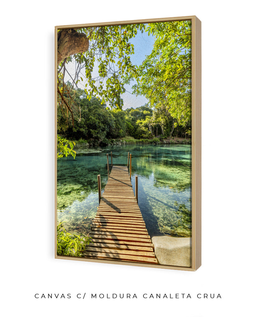 Quadro Decorativo Chapada Diamantina - Ponte para Paraíso-Vertical