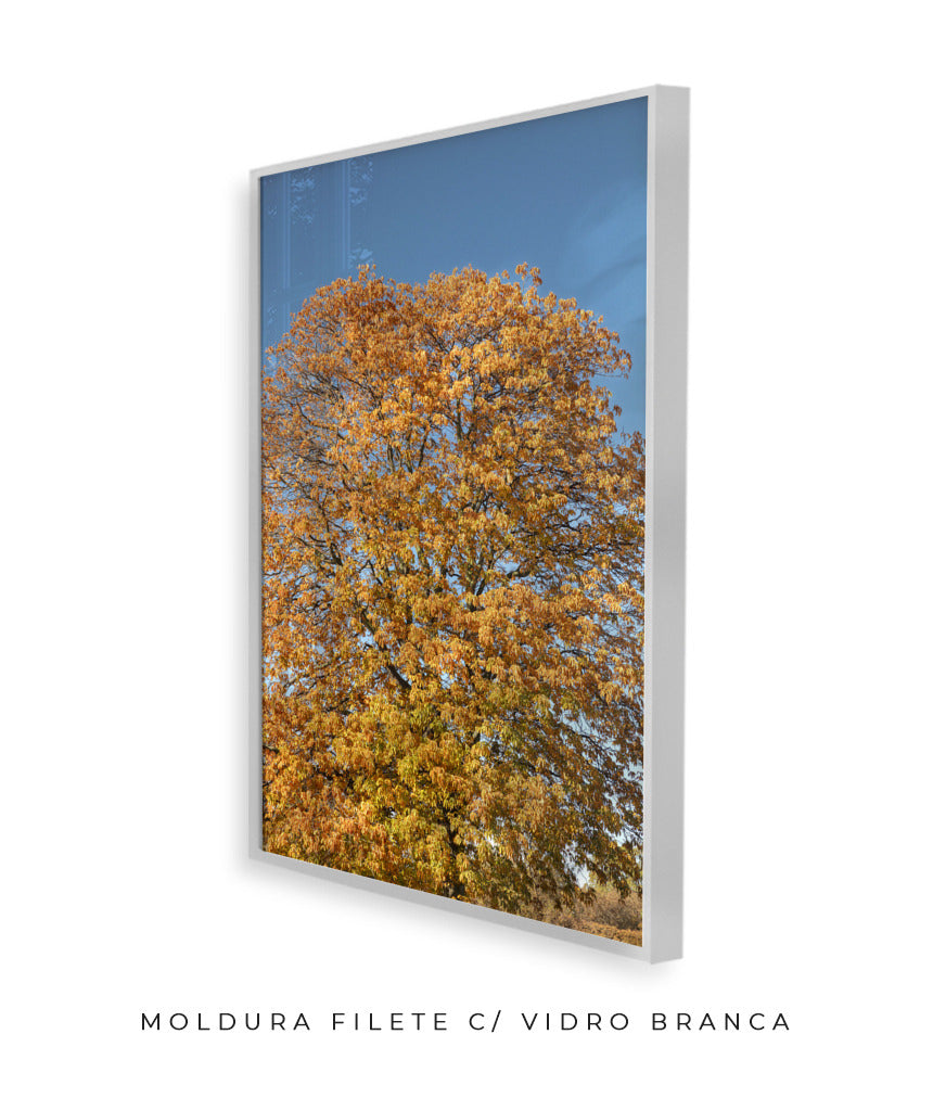 Quadro Decorativo Árvore Amarela