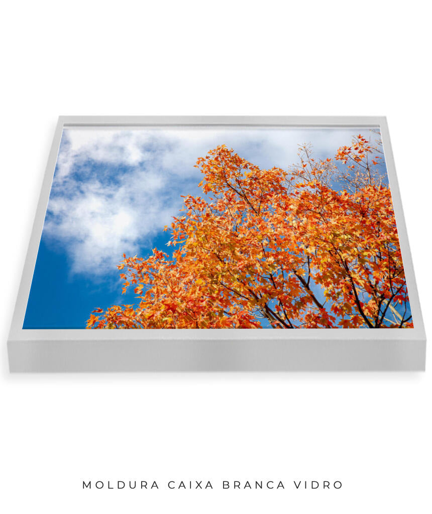 Quadro Decorativo Árvores e Galhos - Folhas laranjas