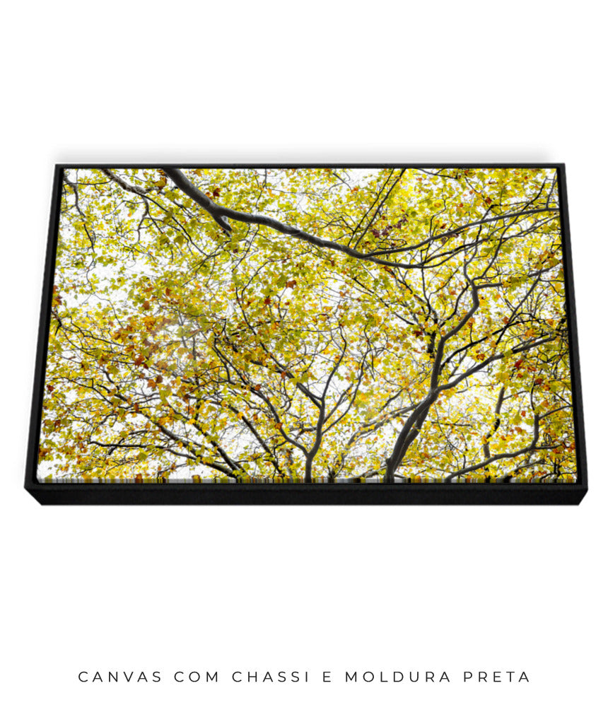Quadro Decorativo Árvore com Galhos Verdes - Horizontal