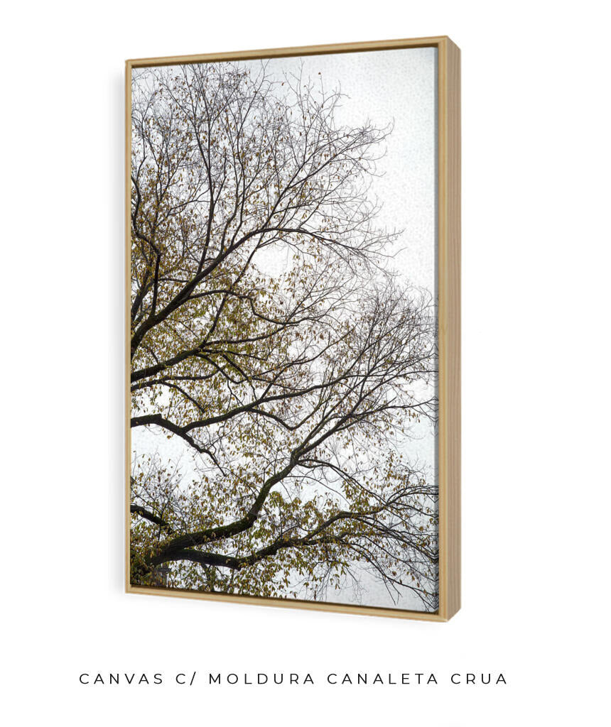 Quadro Decorativo Árvores e Galhos - Folhas secas Vertical