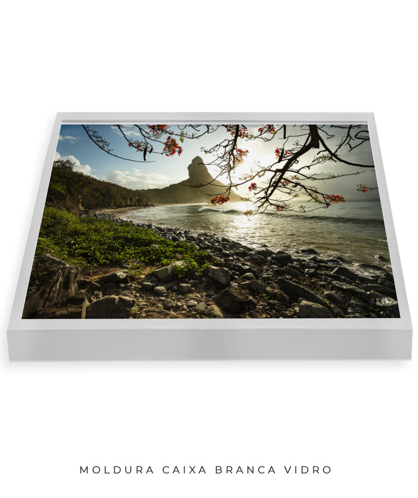 Quadro Decorativo Pôr do Sol e Galhos Secos - Horizontal