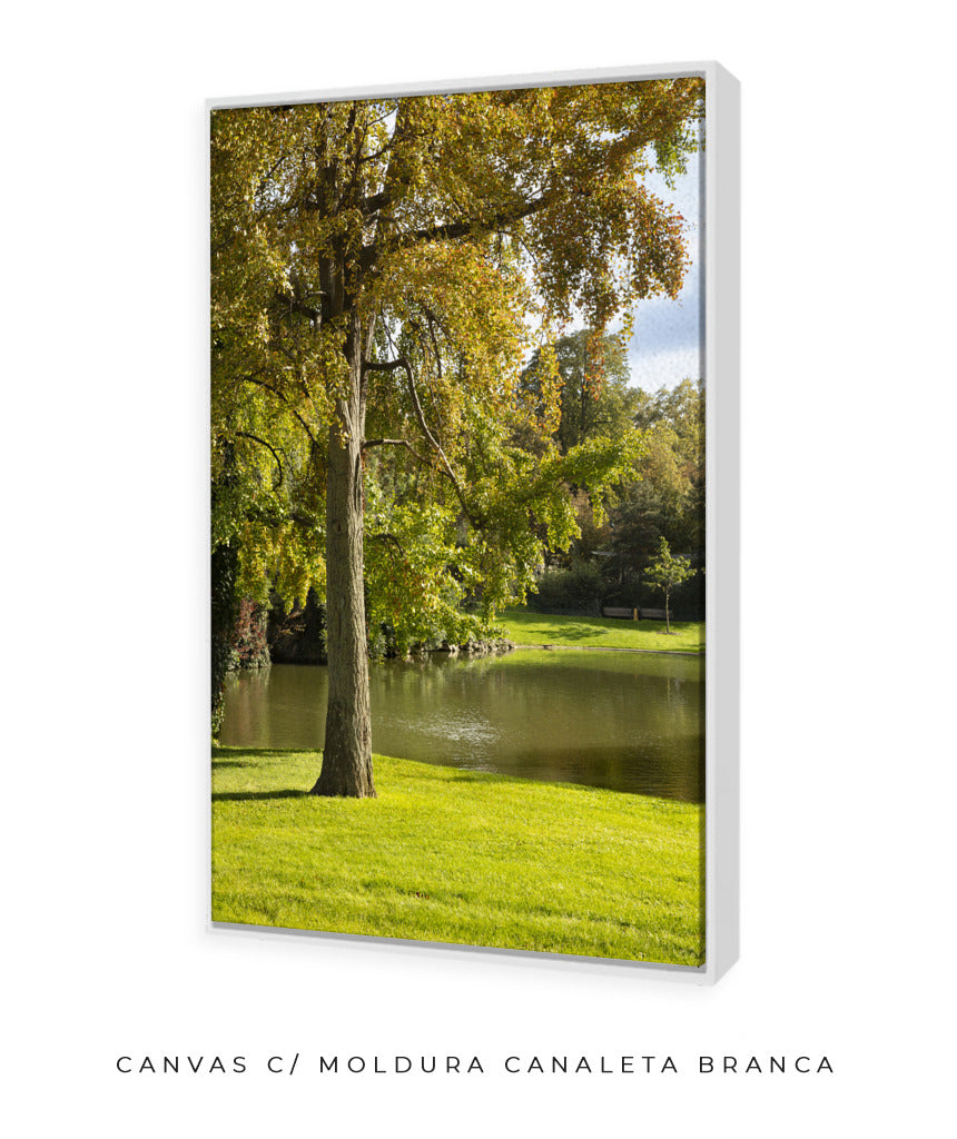 Quadro Decorativo Portais Natureza