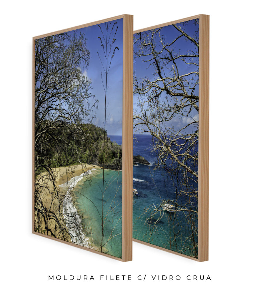 Quadro Decorativo Praia, Mar e Galhos Secos -Dupla
