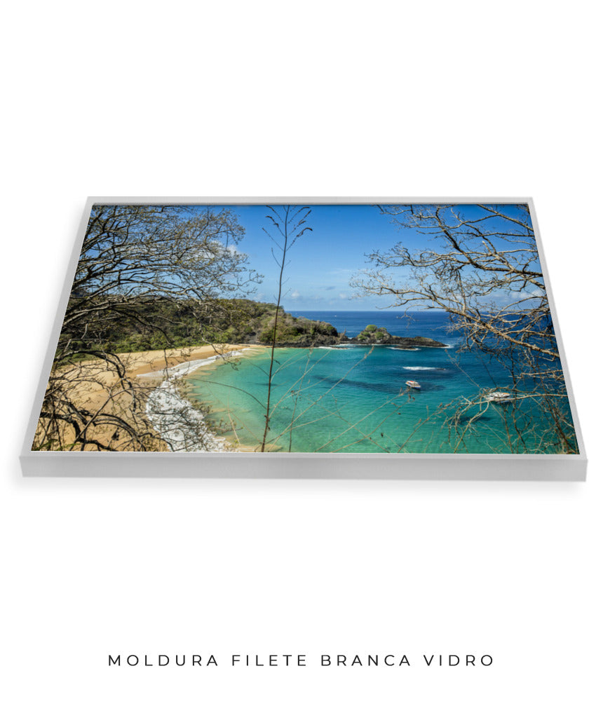 Quadro Decorativo Noronha - Praia, Mar e Galhos Secos - Horizontal