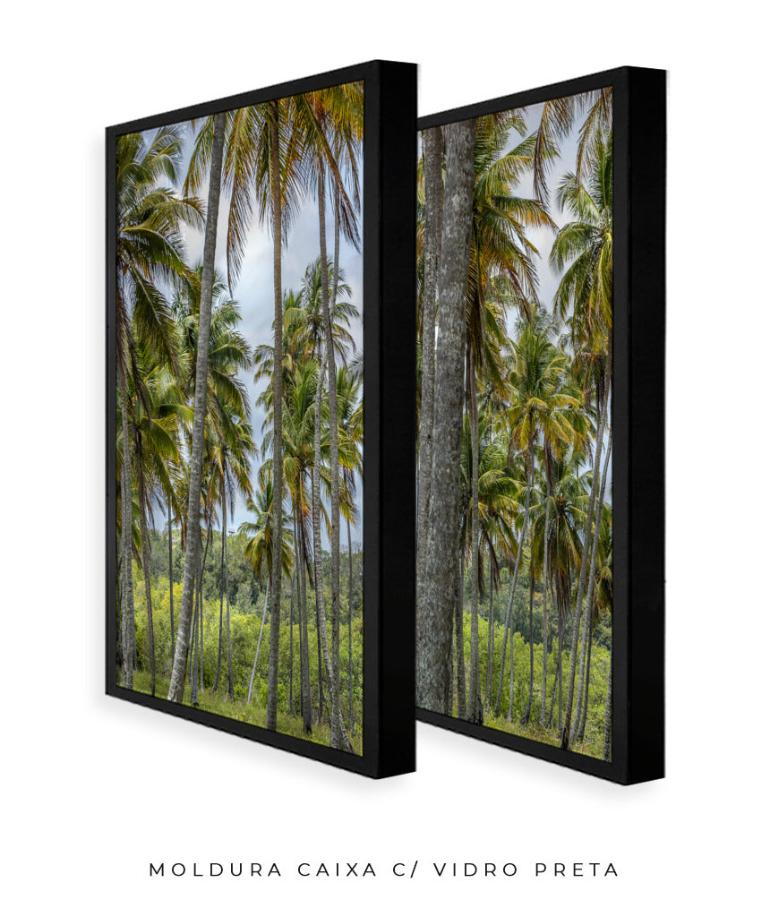 Quadro Decorativo Coqueiros Sépia -Dupla