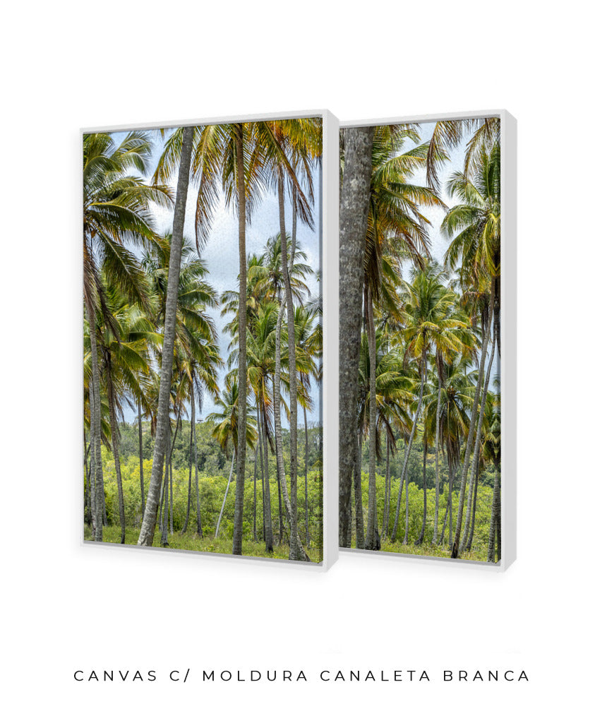 Quadro Decorativo Coqueiros Sépia -Dupla
