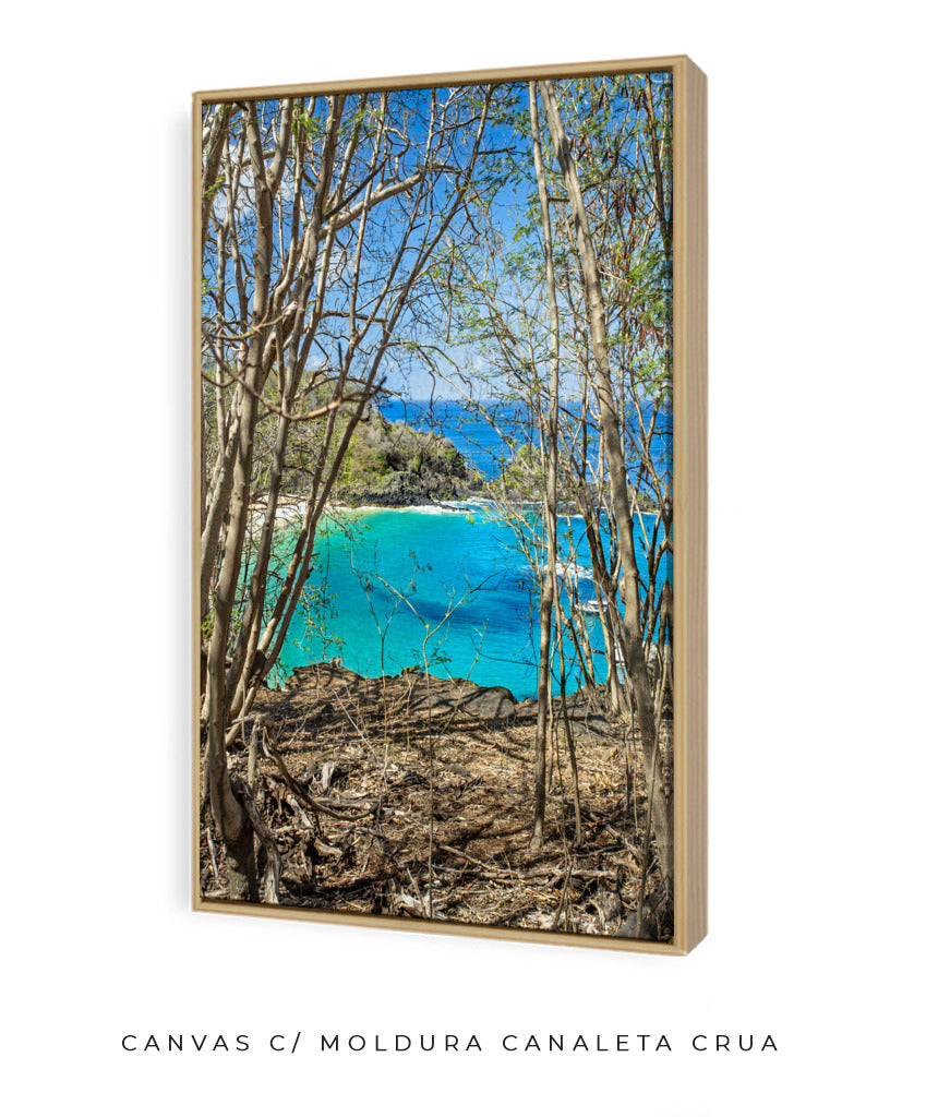 Quadro Decorativo Portais Praia