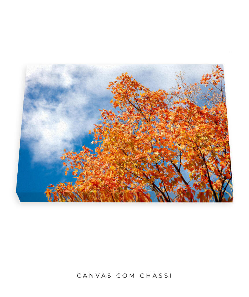Quadro Decorativo Árvores e Galhos - Folhas laranjas