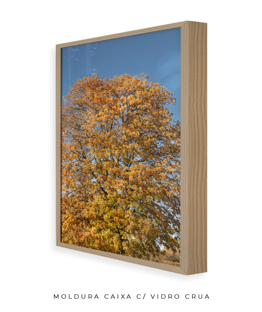 Quadro Decorativo Árvore Amarela