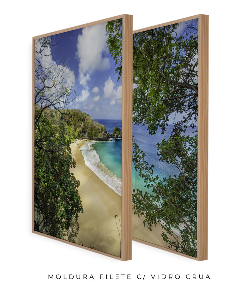 Quadro Decorativo Praia e mar,galhos verdes - Dupla