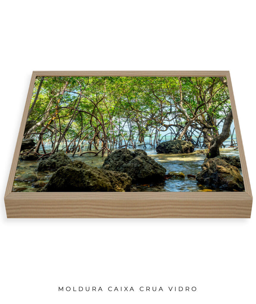 Quadro Decorativo Árvores e Galhos - Pedras e árvores