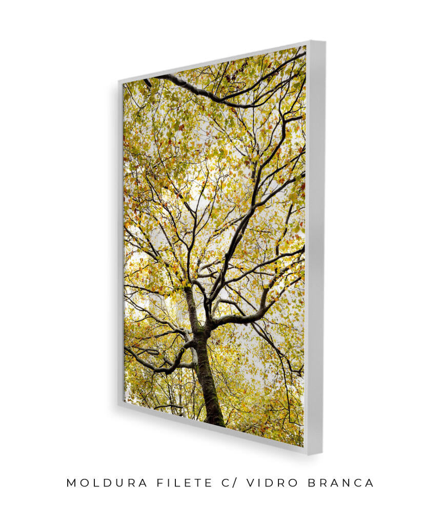 Quadro Decorativo Árvores e Galhos - Folhas verdes Vertical