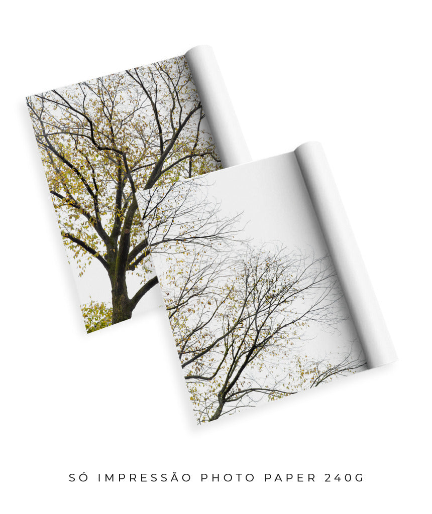 Quadro Decorativo Galhos Secos -Dupla