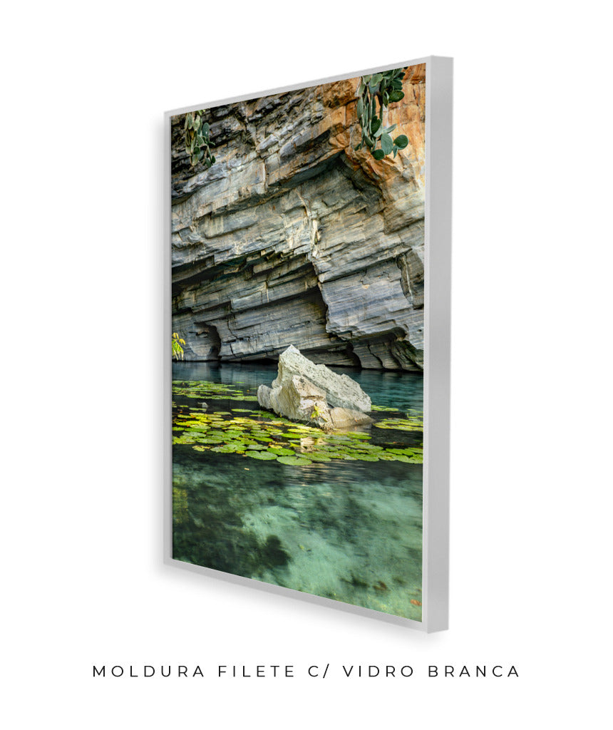 Quadro Decorativo Chapada Diamantina -Vitória Régia- Vertical