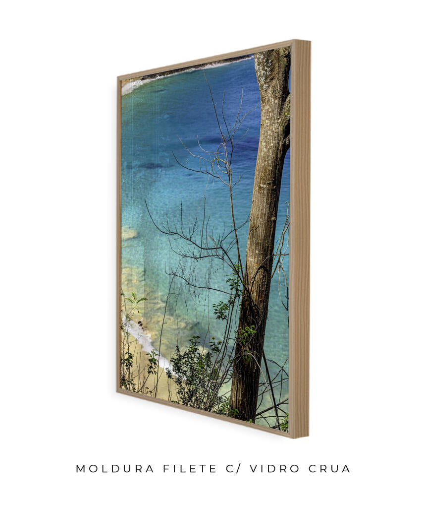 Quadro Decorativo Noronha - Mar Vertical