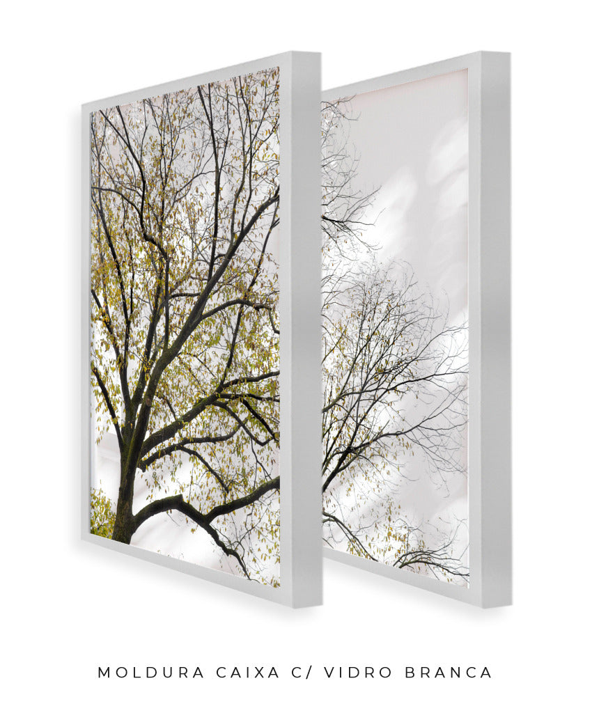 Quadro Decorativo Galhos Secos -Dupla