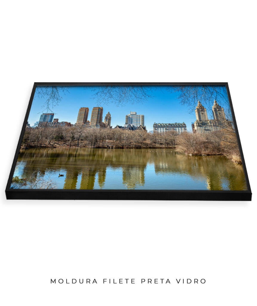 Quadro Decorativo Nova York - Prédios Central Park