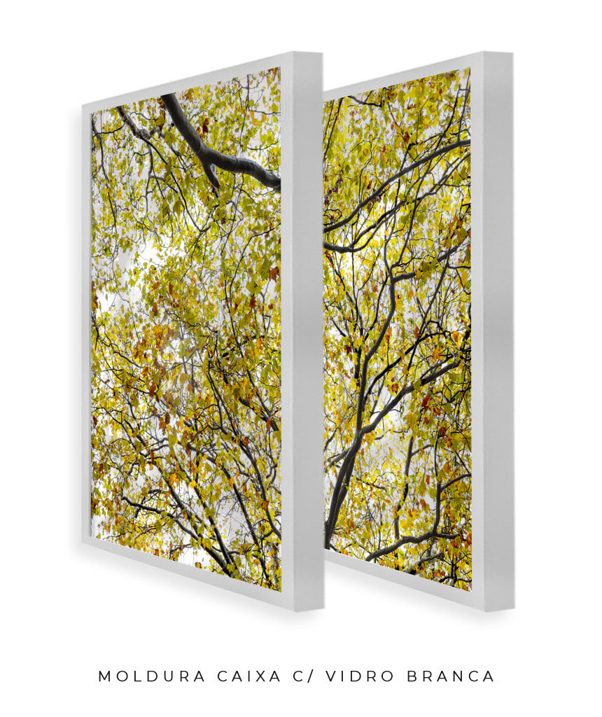 Quadro Decorativo Árvore com Galhos Verdes-Dupla