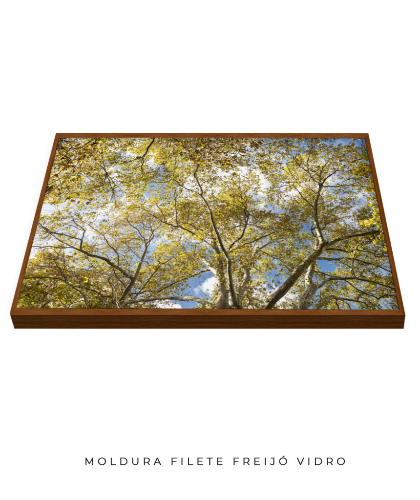 Quadro Decorativo Galhos e Árvores - Horizontal