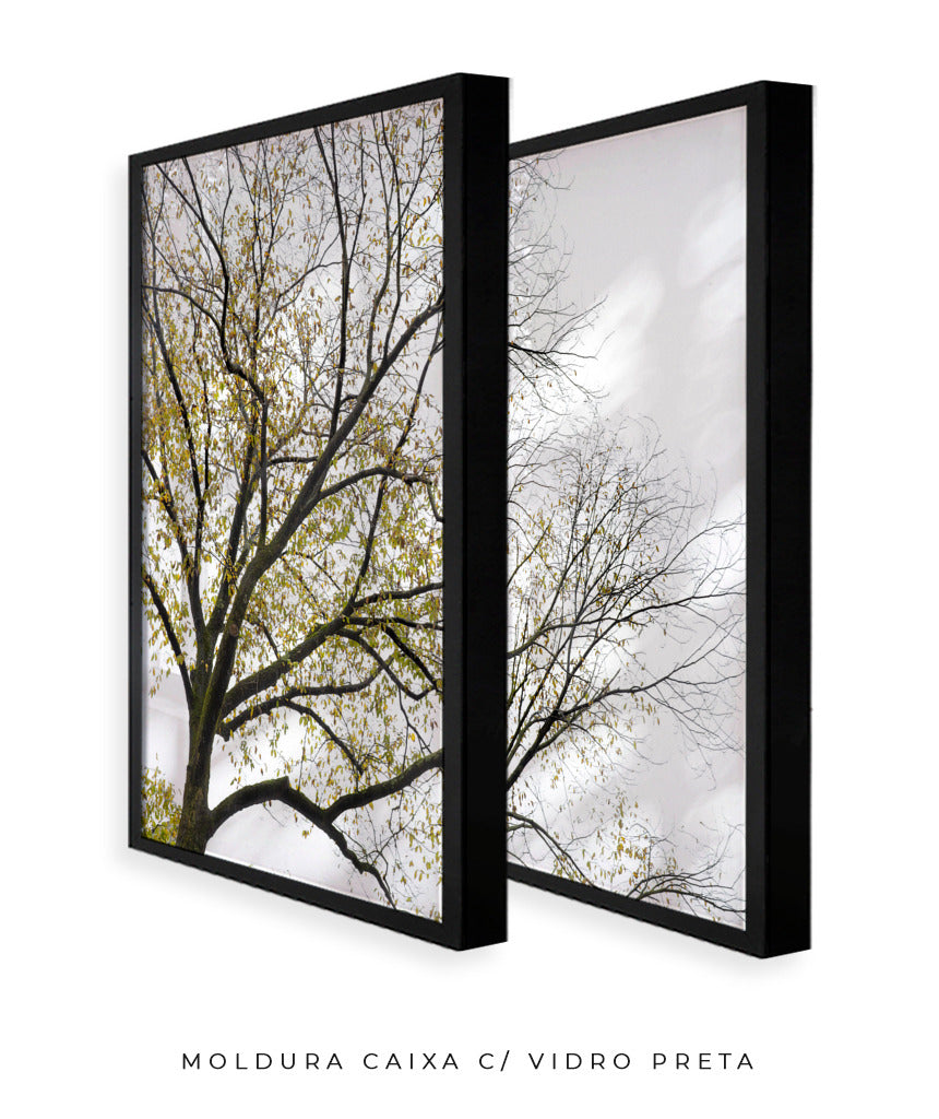 Quadro Decorativo Galhos Secos -Dupla