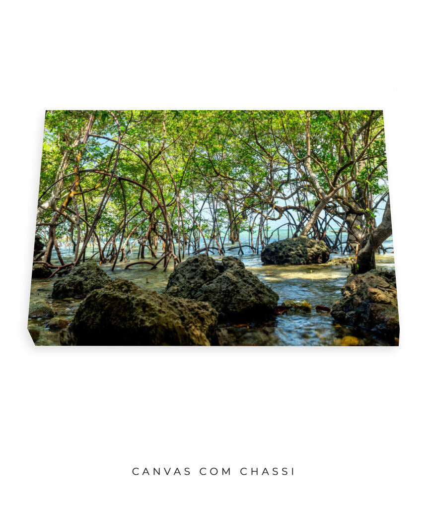 Quadro Decorativo Árvores e Galhos - Pedras e árvores