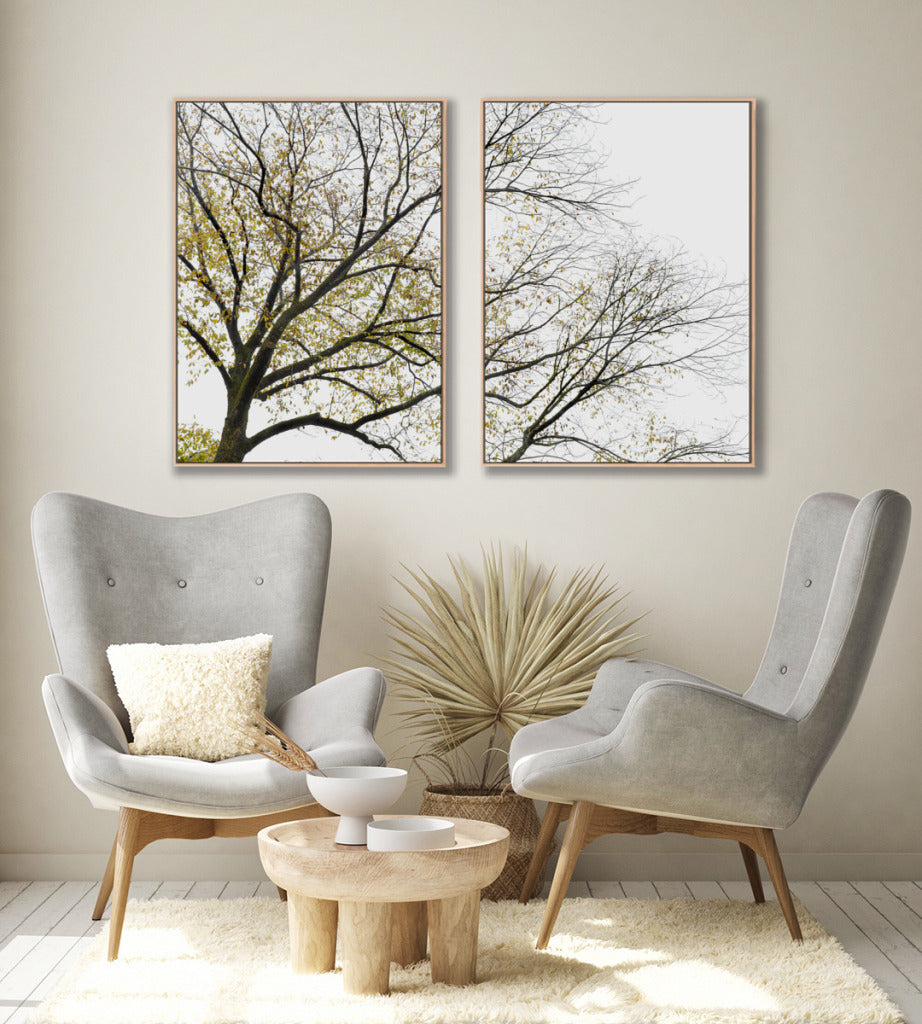 Quadro Decorativo Galhos Secos -Dupla