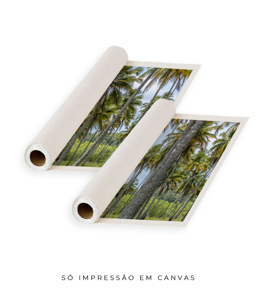 Quadro Decorativo Coqueiros Sépia -Dupla