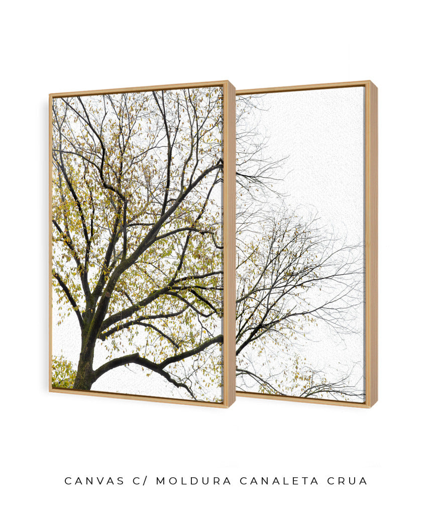 Quadro Decorativo Galhos Secos -Dupla