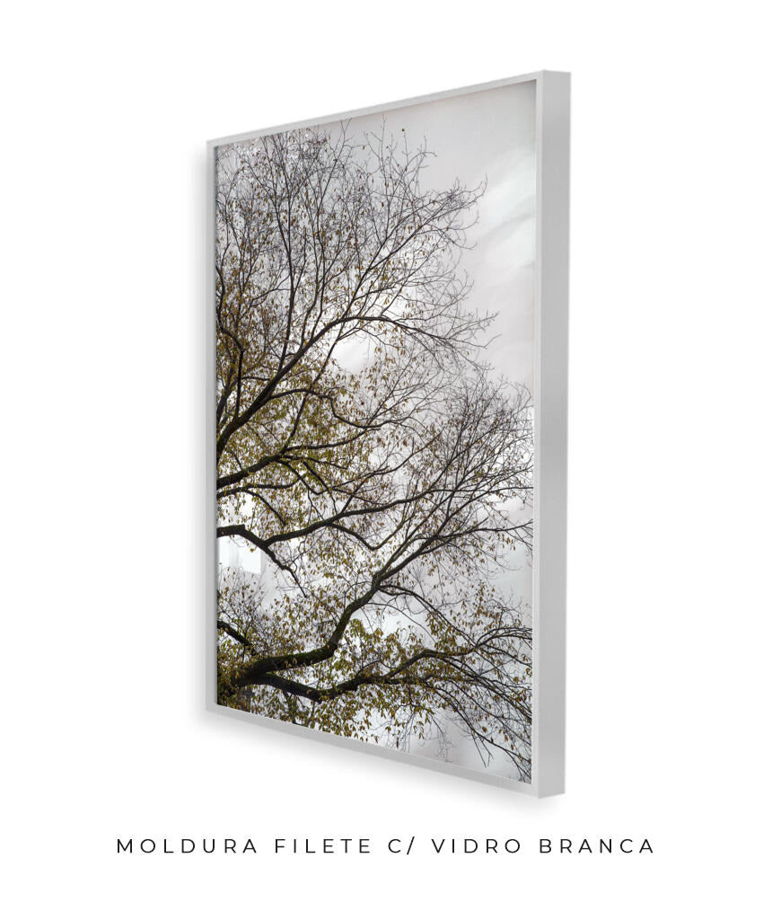 Quadro Decorativo Árvores e Galhos - Folhas secas Vertical