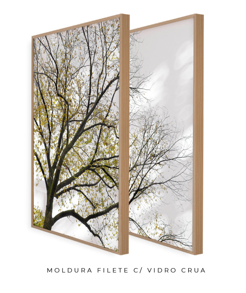 Quadro Decorativo Galhos Secos -Dupla