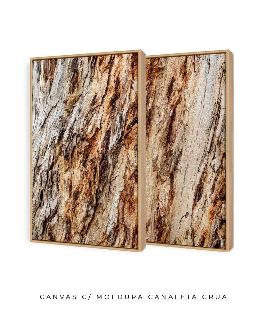 Quadro Decorativo Texturas - Madeira - Dupla