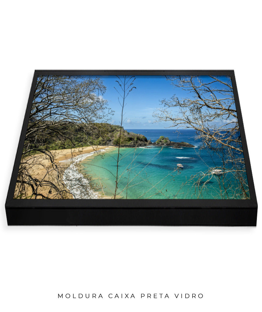 Quadro Decorativo Noronha - Praia, Mar e Galhos Secos - Horizontal