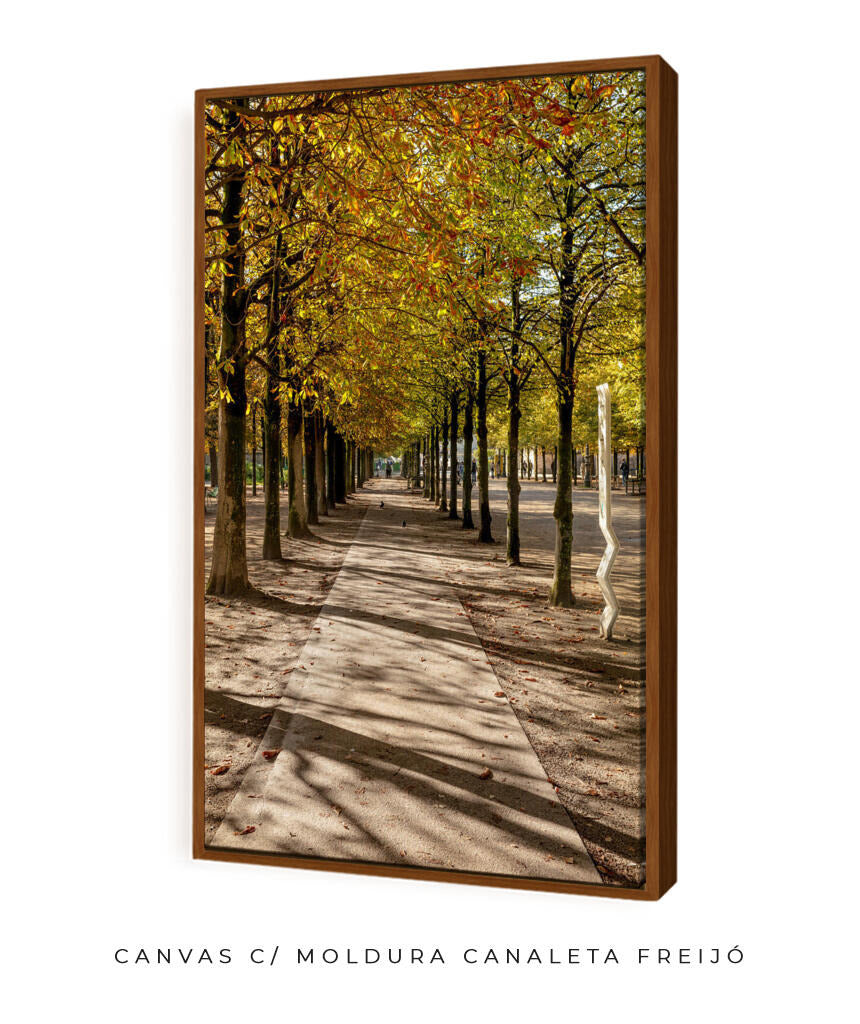 Quadro Decorativo Árvores e Galhos - Espaço para caminhada