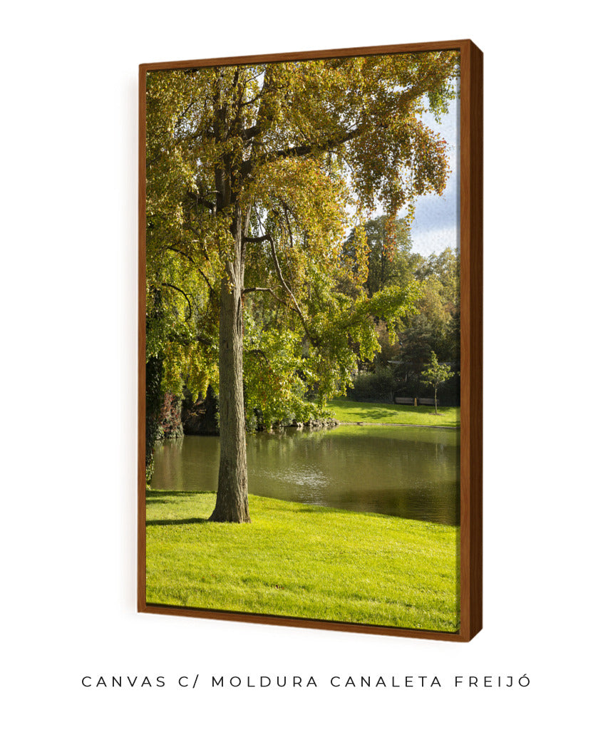 Quadro Decorativo Portais Natureza