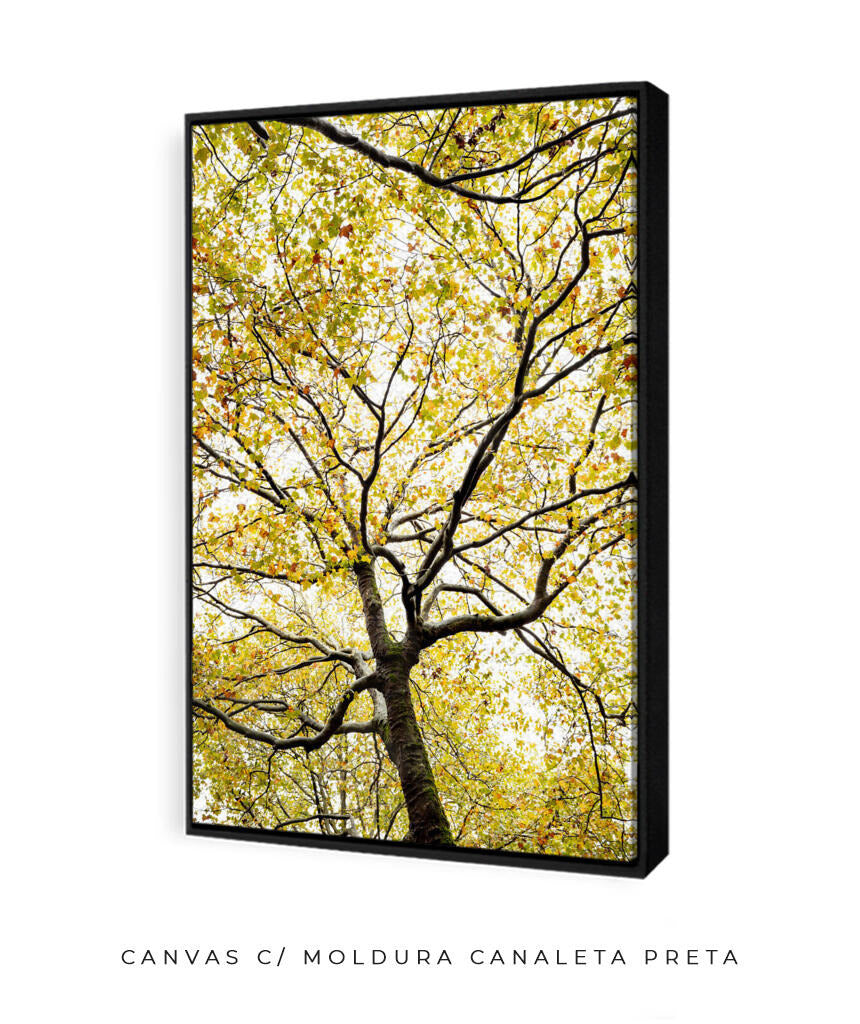 Quadro Decorativo Árvores e Galhos - Folhas verdes Vertical