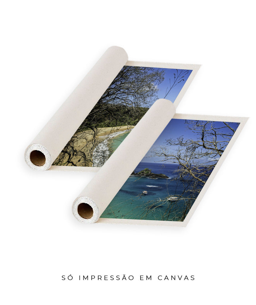 Quadro Decorativo Praia, Mar e Galhos Secos -Dupla